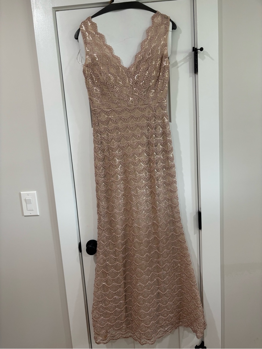 Jade Blush Champagne Lace Maxi Dress